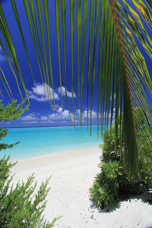 Relax Residence Thoddoo Maldives Buitenkant foto